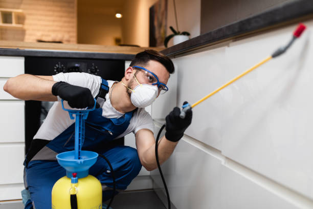 Best Bed Bug Extermination  in River Grove, IL