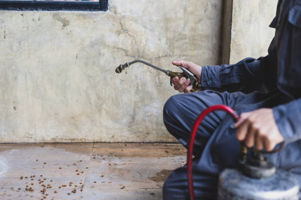 Pest Control Cost in River Grove, IL